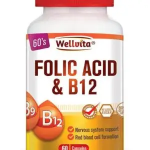 WELLVITA FOLIC ACID B12 CAPS 60
